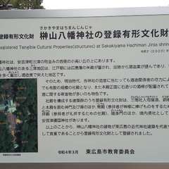 投稿日:2023年4月19日 写真