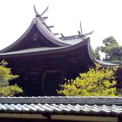 投稿日:2023年4月19日 写真