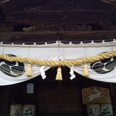 投稿日:2023年4月19日 写真