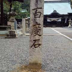 投稿日:2023年4月19日 写真