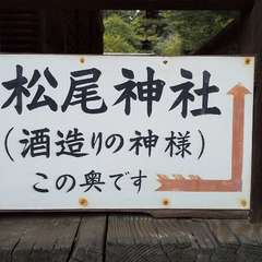 投稿日:2023年4月19日 写真