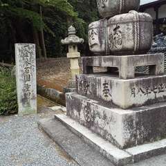 投稿日:2023年4月19日 写真