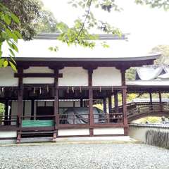 投稿日:2023年4月19日 写真