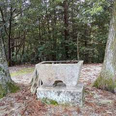 投稿日:2023年4月18日 写真