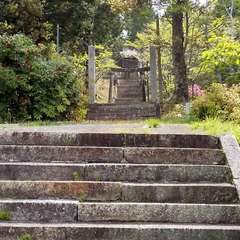 投稿日:2023年4月18日 写真