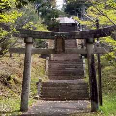 投稿日:2023年4月18日 写真