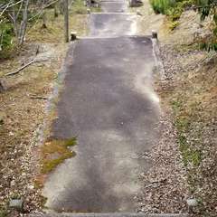 投稿日:2023年4月18日 写真