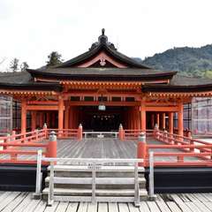 投稿日:2018年1月19日 写真