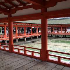 投稿日:2019年9月24日 写真