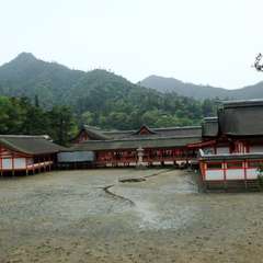 投稿日:2015年12月3日 写真