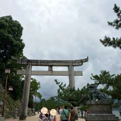 投稿日:2016年7月13日 写真