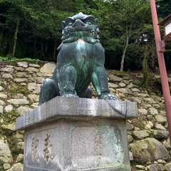 投稿日:2016年7月13日 写真