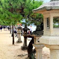 投稿日:2025年10月21日 写真