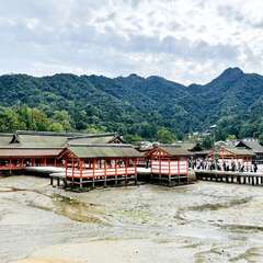 投稿日:2025年10月21日 写真