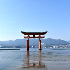 投稿日:2017年11月5日 写真