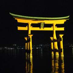 投稿日:2015年12月3日 写真