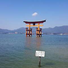 投稿日:2019年10月8日 写真