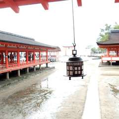 投稿日:2015年12月3日 写真