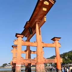 投稿日:2017年11月5日 写真