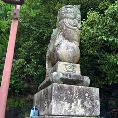 投稿日:2016年7月13日 写真