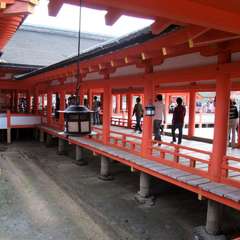 投稿日:2015年12月3日 写真