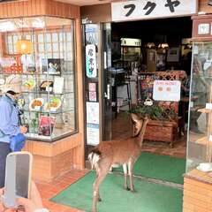 投稿日:2025年10月21日 写真