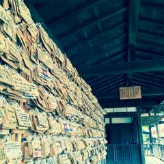 投稿日:2016年7月13日 写真