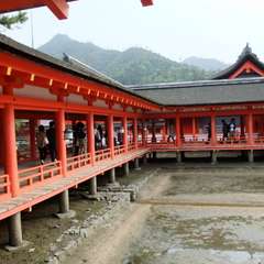 投稿日:2015年12月3日 写真