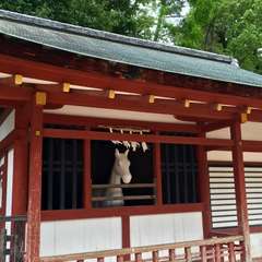 投稿日:2016年7月13日 写真
