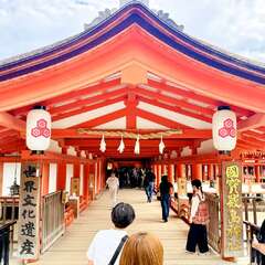 投稿日:2025年10月21日 写真