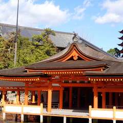 投稿日:2024年1月21日 写真