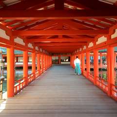 投稿日:2016年1月3日 写真