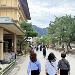 投稿日:2025年10月21日 写真