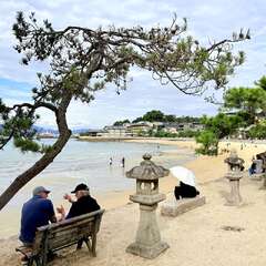 投稿日:2025年10月21日 写真