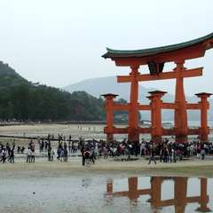 投稿日:2015年12月3日 写真