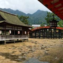 投稿日:2016年7月13日 写真