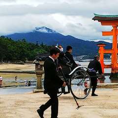 投稿日:2019年11月10日 写真