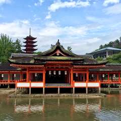 投稿日:2016年7月13日 写真