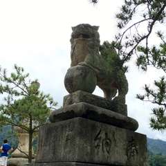 投稿日:2016年7月13日 写真