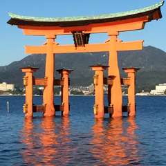 投稿日:2016年1月3日 写真