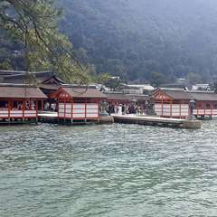 投稿日:2019年2月3日 写真