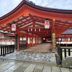 投稿日:2024年3月31日 写真