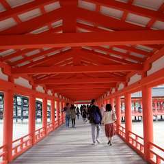 投稿日:2015年12月3日 写真