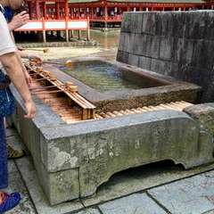 投稿日:2016年7月13日 写真