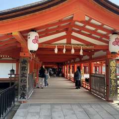 投稿日:2024年10月2日 写真