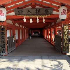 投稿日:2022年5月31日 写真