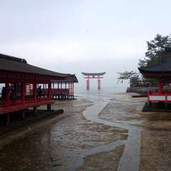 投稿日:2016年4月25日 写真