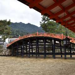 投稿日:2018年1月19日 写真