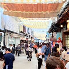 投稿日:2025年10月21日 写真