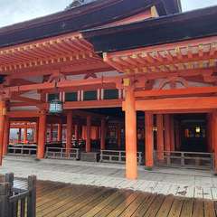 投稿日:2024年3月31日 写真